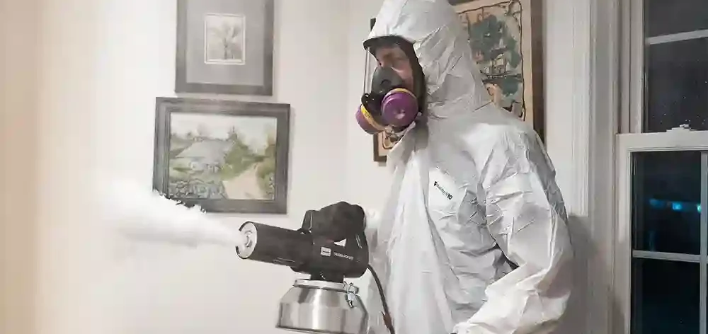 Odor Removal