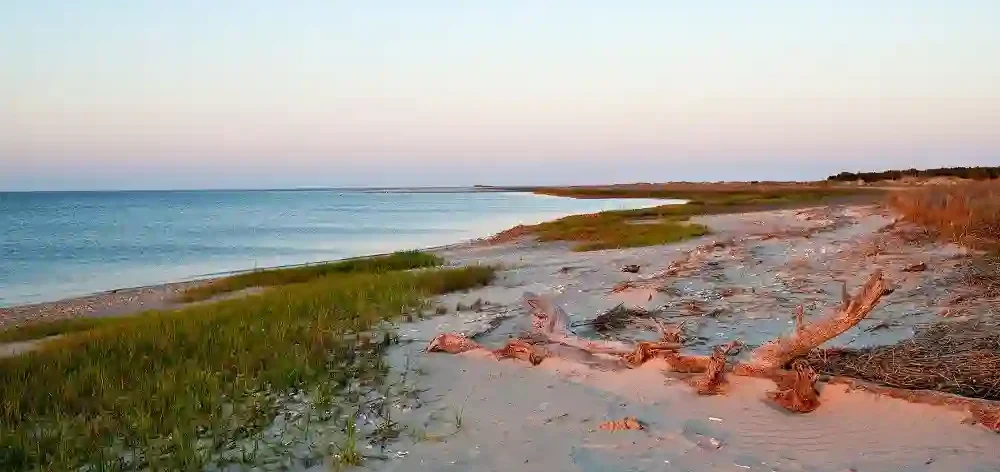 Heart of Coastal Georgia