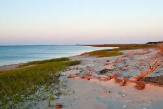 Heart of Coastal Georgia