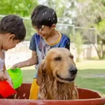 Pets' Role in Child Development