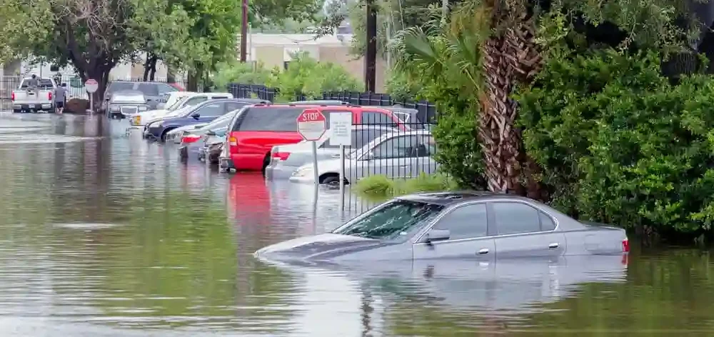 Dealing with Flood Damage