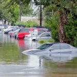 Dealing with Flood Damage